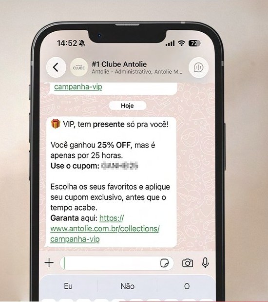 Exemplo de mensagem do Grupo VIP no WhatsApp